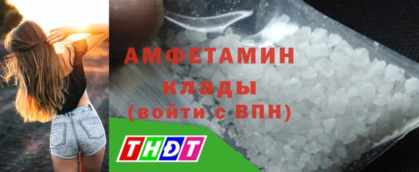 сатива Алзамай