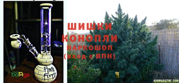 сатива Алзамай