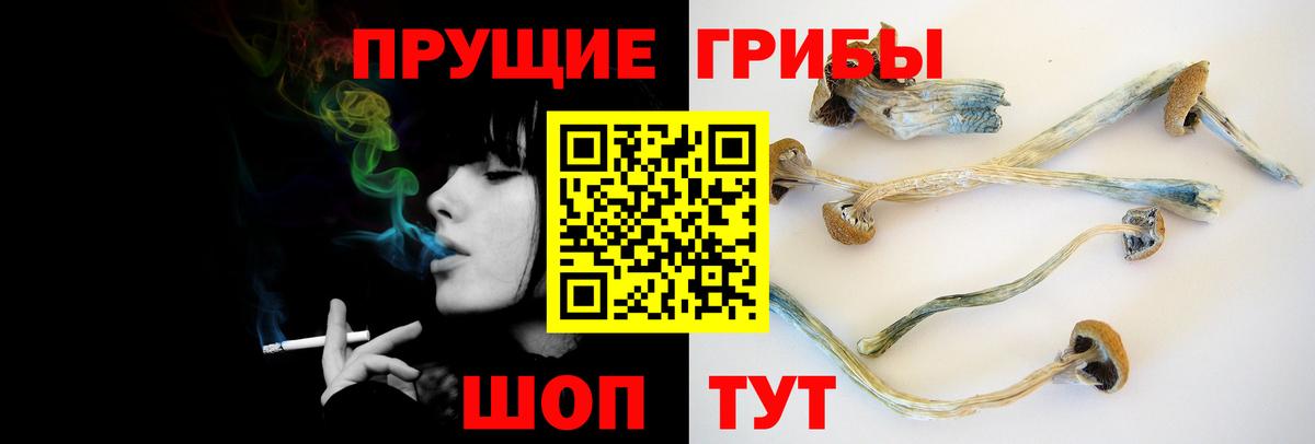 Псилоцибиновые грибы мицелий Магнитогорск